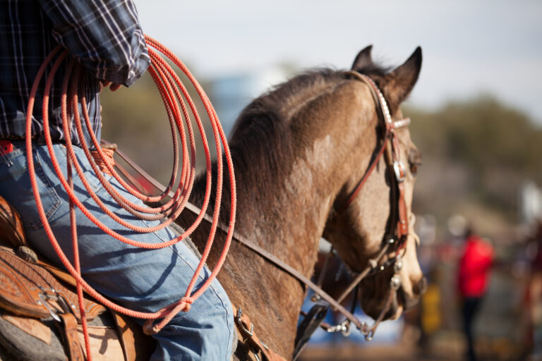 Rodeo Rider