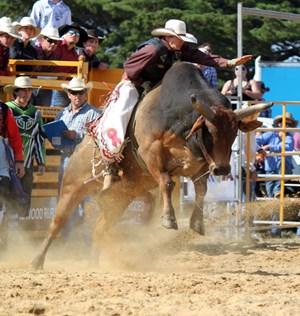AmericanCowboy_OctEvents_BullTamer_Amcilrick