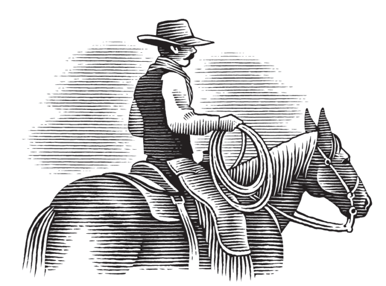 Buckaroo horse lost skills
