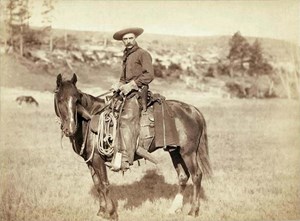 Cowboy.1887