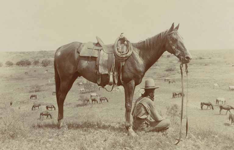 erwin smith photograph