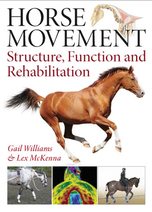 horseanatomy