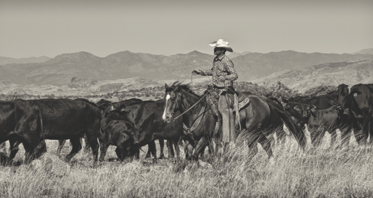 Kathy McCraine Southwest Ranches