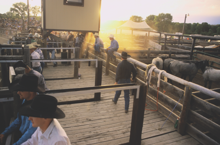 Rodeo Secretary Behind the Chutes