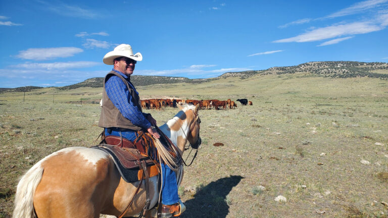 Military veteran Ron Blevins sits astride his paint horse with a cattle herd in the background.