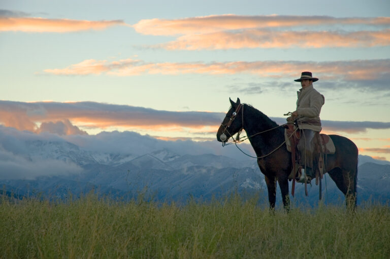 Cowboy